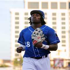 Brewers minor leaguer makes catch of the year bid with unbelievable home run robbery
