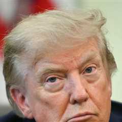 President Trump Says Military, Secret Service Ordered Secret Plane Switch