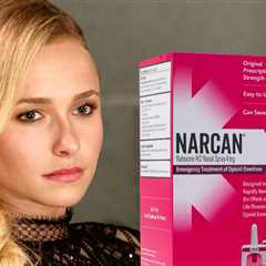 Hayden Panettiere Death: Narcan Found in Apartment