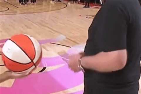 WNBA fan’s half-court shot goes hilariously wrong: ‘Bob, are you OK?