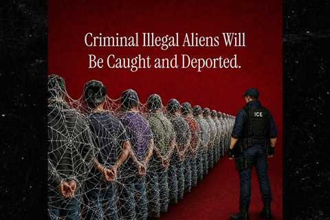 White House Uses Spider-Man For Immigration Enforcement Post