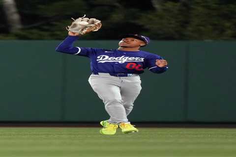 Dodgers prospect undergoes surgery two months after freak injury