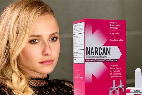 Hayden Panettiere Death: Narcan Found in Apartment