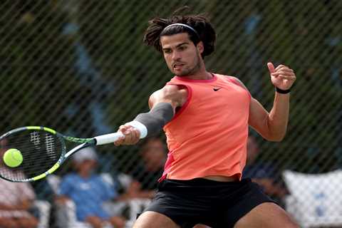 Serena Williams, Carlos Alcaraz teaming up for US Open mixed doubles